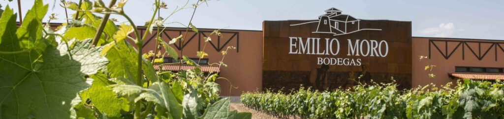 Viñalicor | Bodega del mes