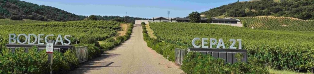 Viñalicor | Bodega del mes