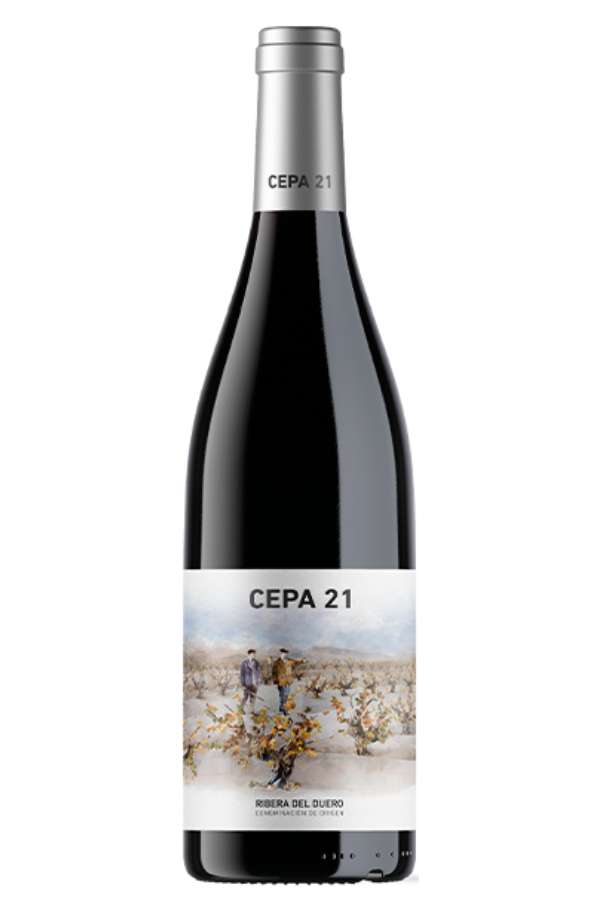 Viñalicor | Vino de la semana